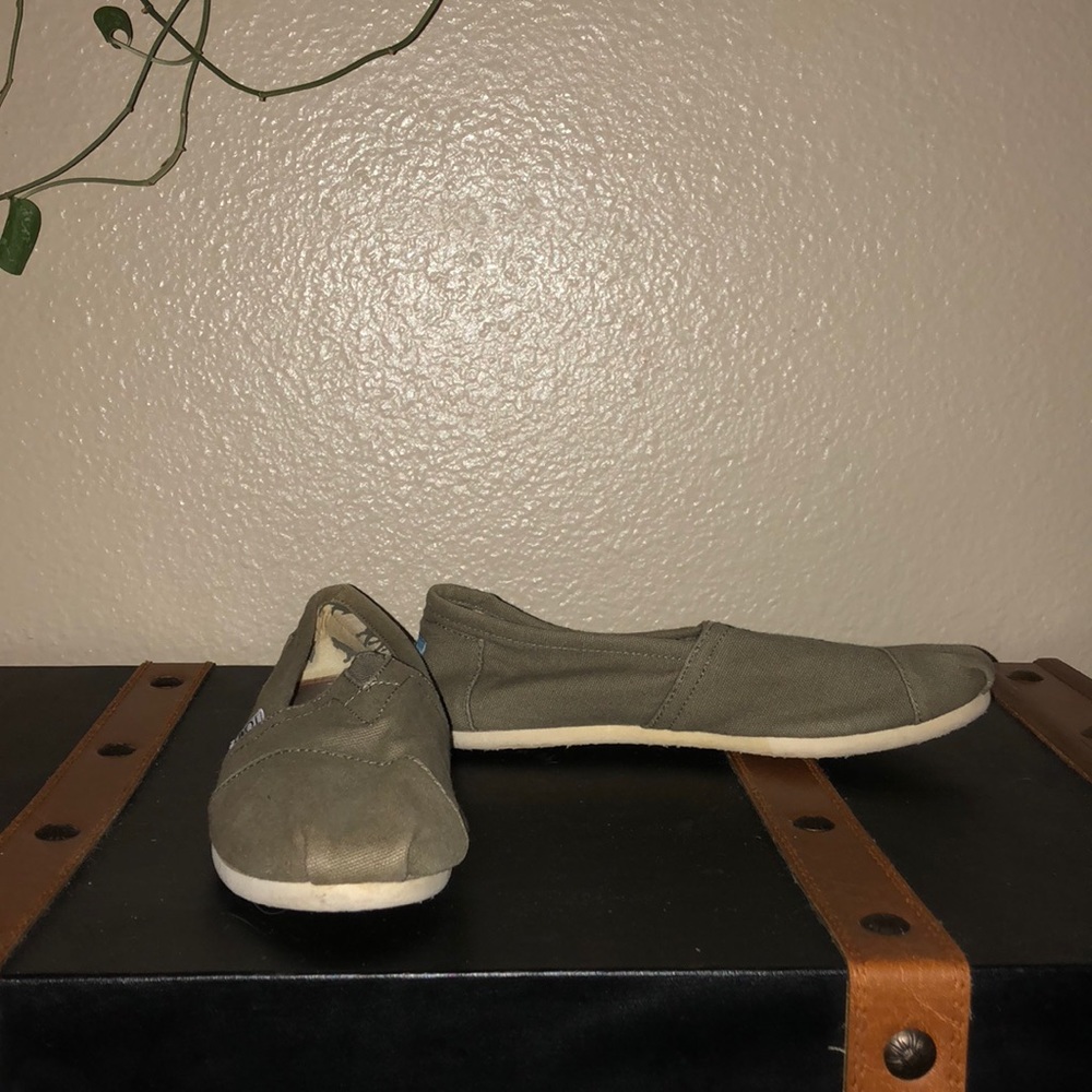Olive classic TOMS
